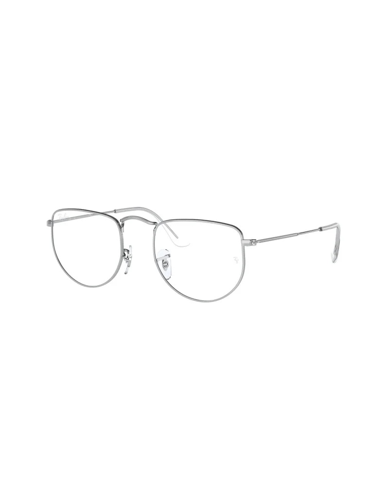 RAY-BAN 3958V ELON 2501 Silver Eyewear